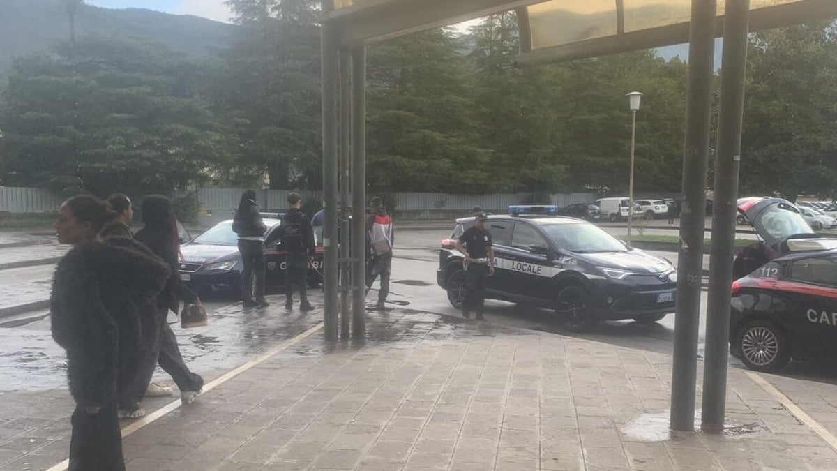 Autista non li fa entrare con cane senza museruola: gruppo di "maranza" gli rubano le chiavi del bus  - 
