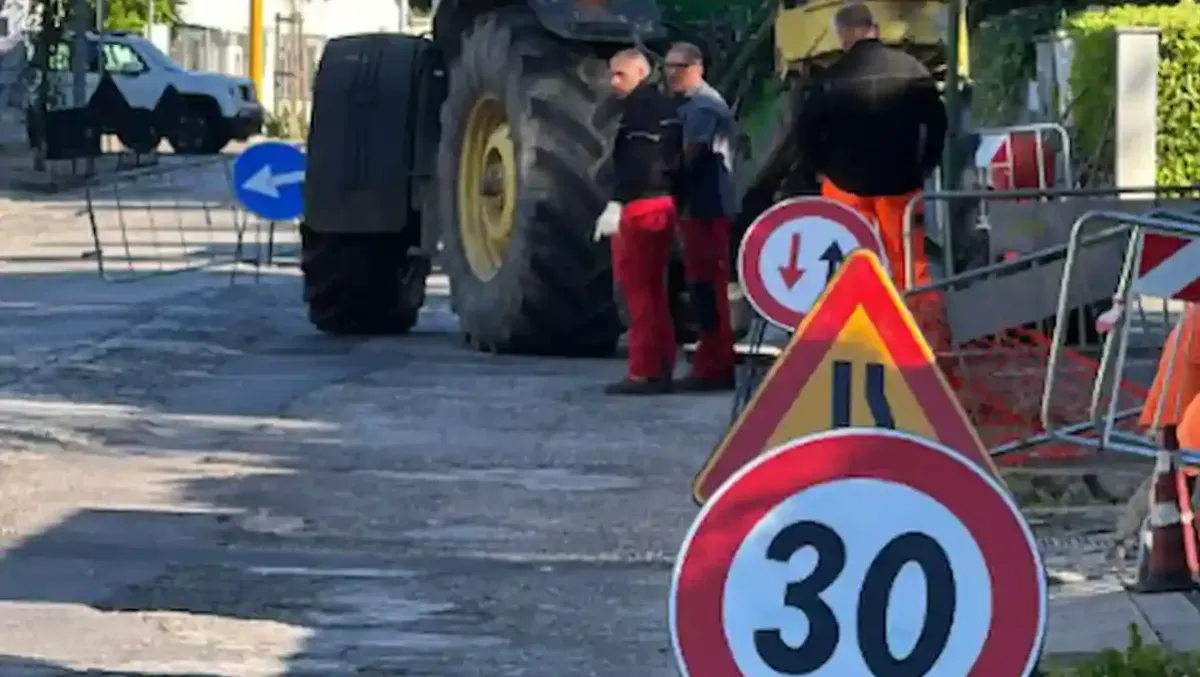 Rimozione alberi e nuova asfaltatura: partono i lavori su via Bernardinis a Udine - 