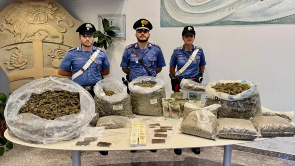 Azienda coltivava canapa legalmente, ma spacciava sottobanco: sequestrati 32kg tra hashish e marijuana - 