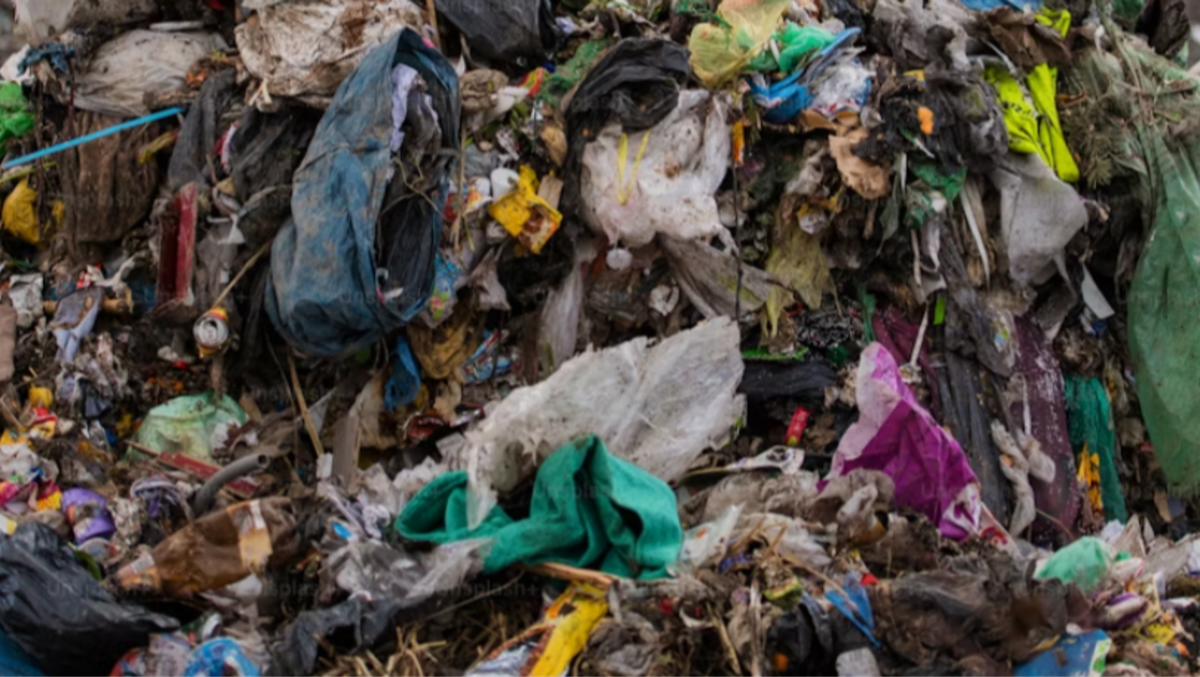 Barcolana Sea Project, al via la quinta edizione: rilancia la sfida ambientale a Trieste - 