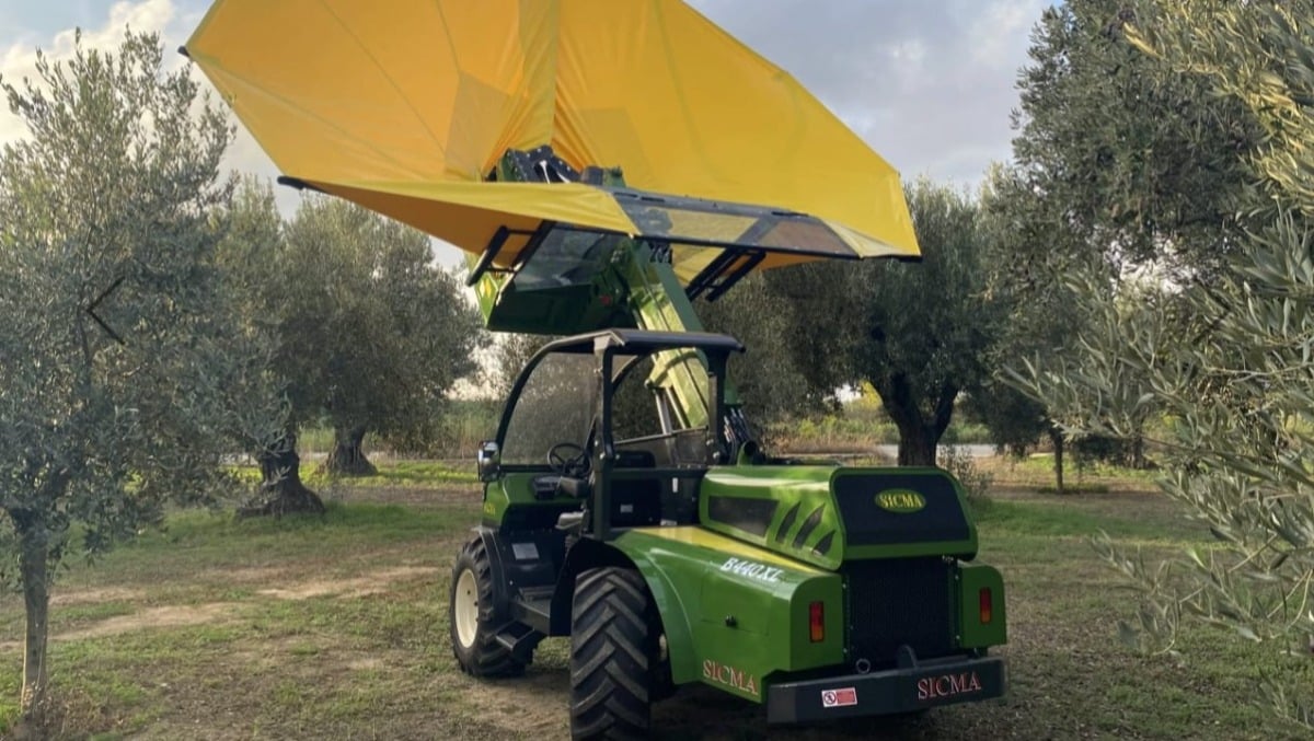 Al via la terza stagione di molitura al frantoio del Consorzio Olio EVO FVG - 