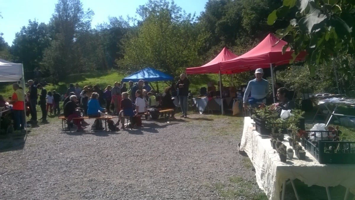 Draga Sant'Elia in festa: domenica 5 ottobre una giornata tra natura, cultura e degustazioni - 