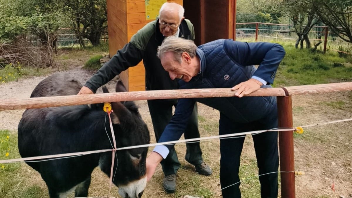 Trieste, nuova casa per l’asina Nina grazie alla Barcolana Charity e al sostegno della Regione FVG - 