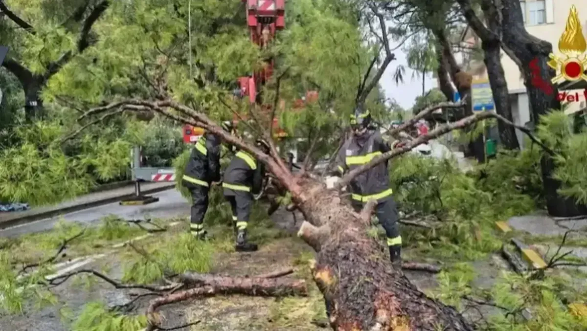 FVG colpito dal maltempo: allagamenti, vento e alberi caduti. Cosa ci aspetta nelle prossime ore. -