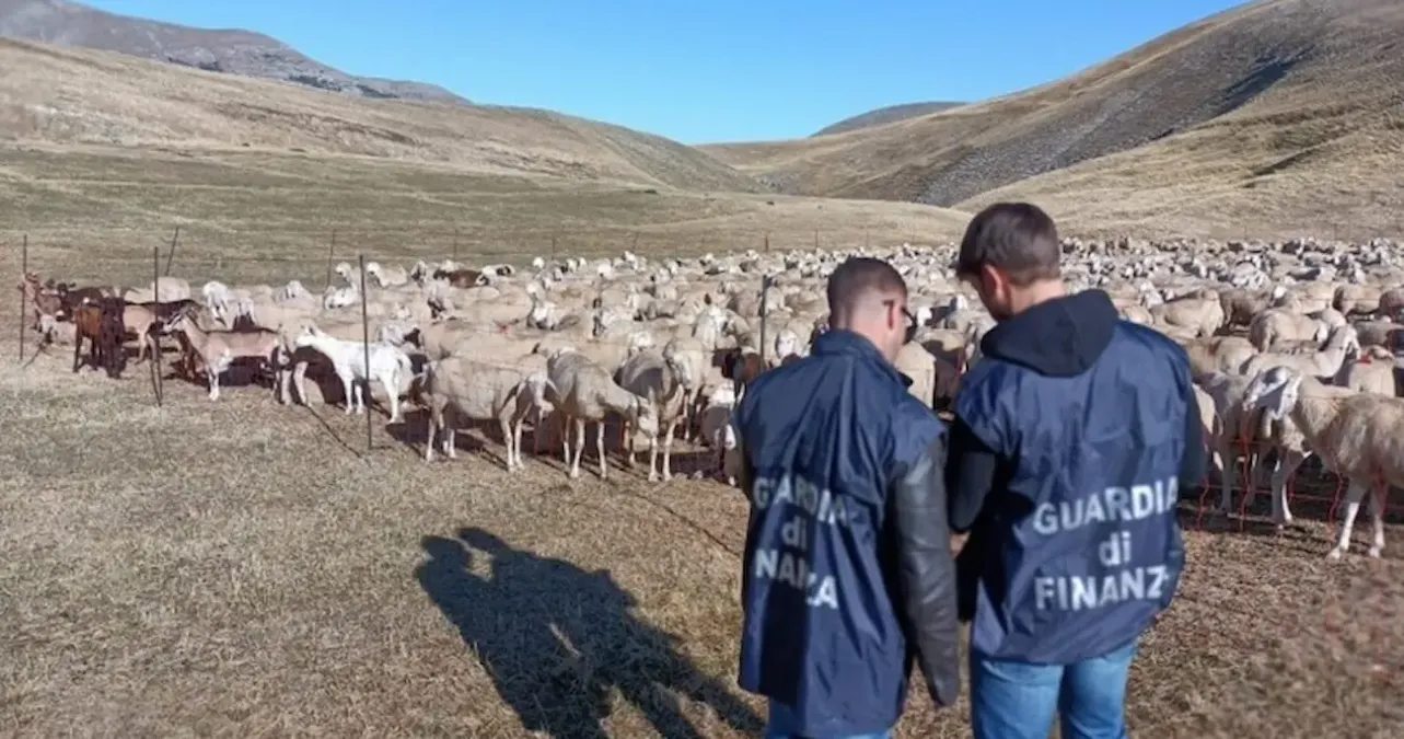 Truffa record da 20 milioni all’Unione Europea: 48 imprenditori indagati, il modus operandi - 