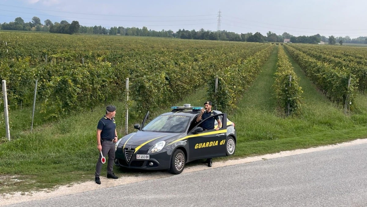 Lavoro nero nelle campagne di Treviso: beccati 14 braccianti irregolari, tra loro un minorenne -