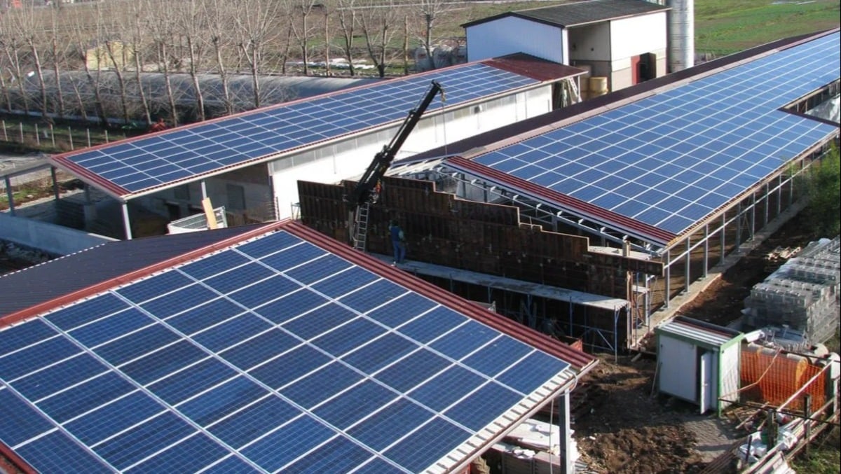 ConfagriCER, nuova spinta verso le energie rinnovabili in FVG: in arrivo il webinar sull'argomento -
