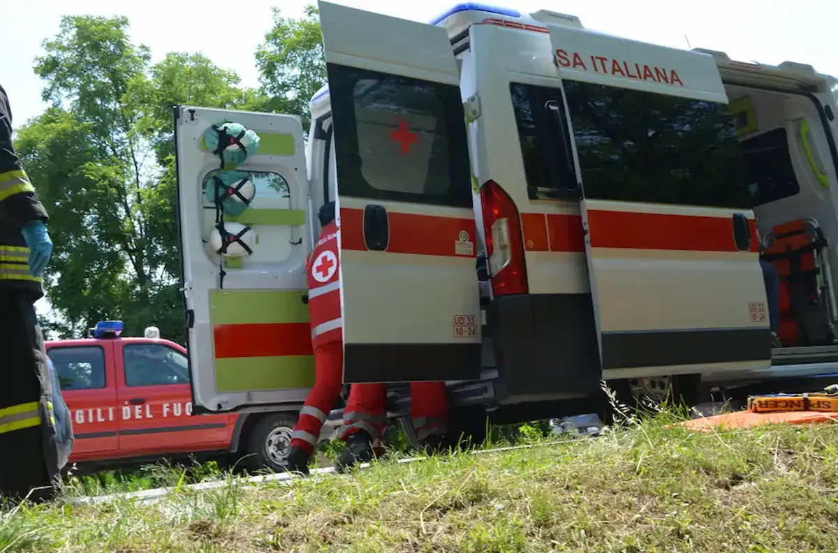 Prima il ronzio, poi il panico: sciame di vespe attacca studenti in gita, 5 persone in ospedale - 