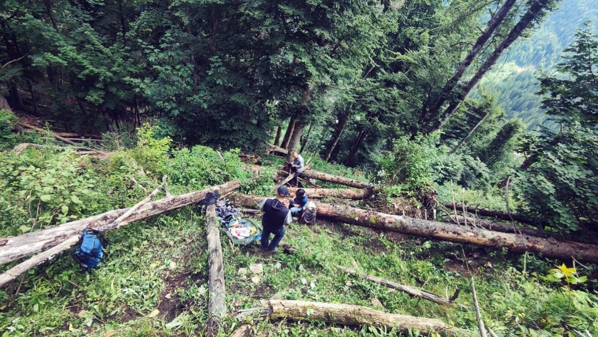Patrimonio verde sotto osservazione: rilievi completati in FVG per l’Inventario Forestale 2025-2029 - 