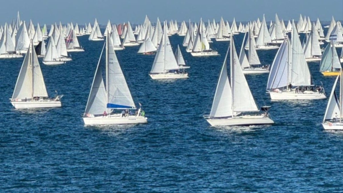 Barcolana 2025 all'insegna della sicurezza: dispiegati oltre 500 operatori, rilevate irregolarità - 