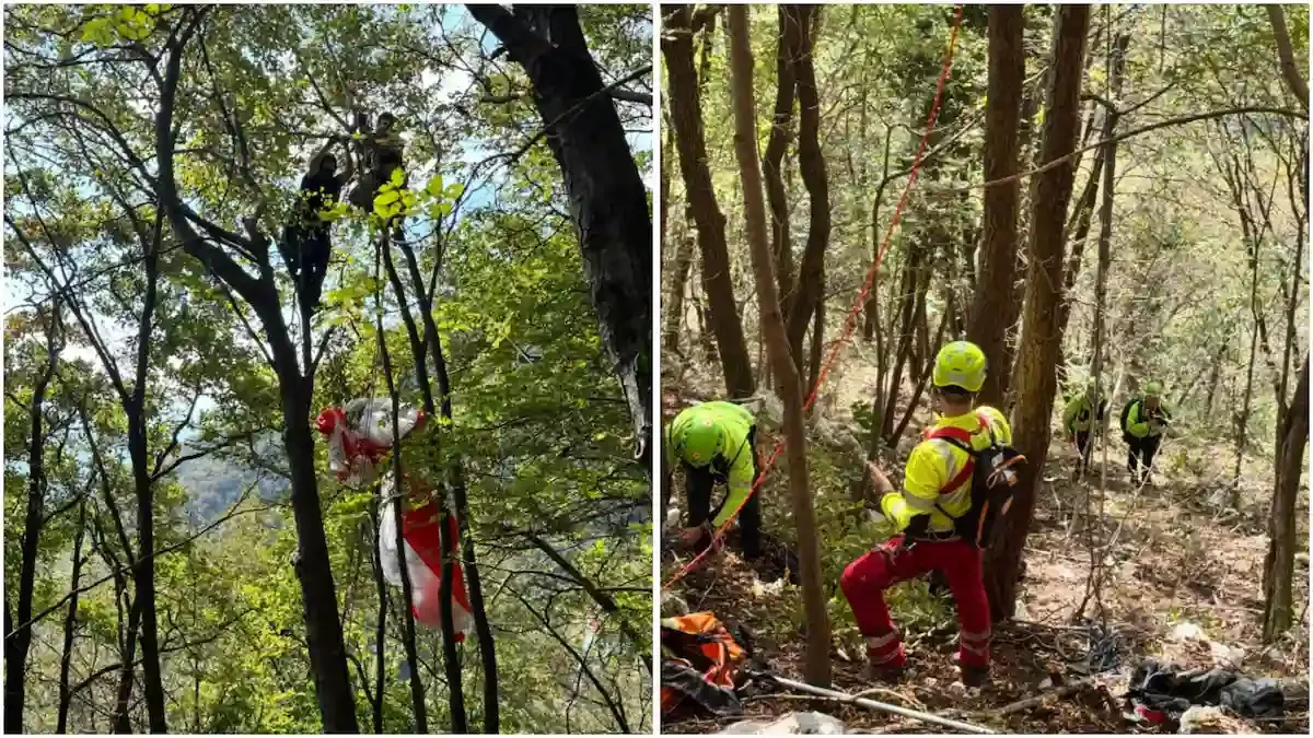 Paura durante il parapendio: pilota precipita e rimane sospeso tra gli alberi | FOTO - 