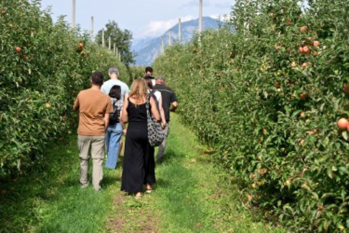 Dica’ valorizza i sapori delle Prealpi Friulane: un tour tra aziende e produzioni locali -