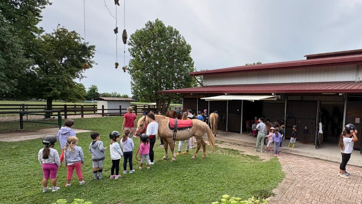A Porcia il doposcuola con gli animali: un aiuto gratuito per i bambini della scuola “Don Milani” -