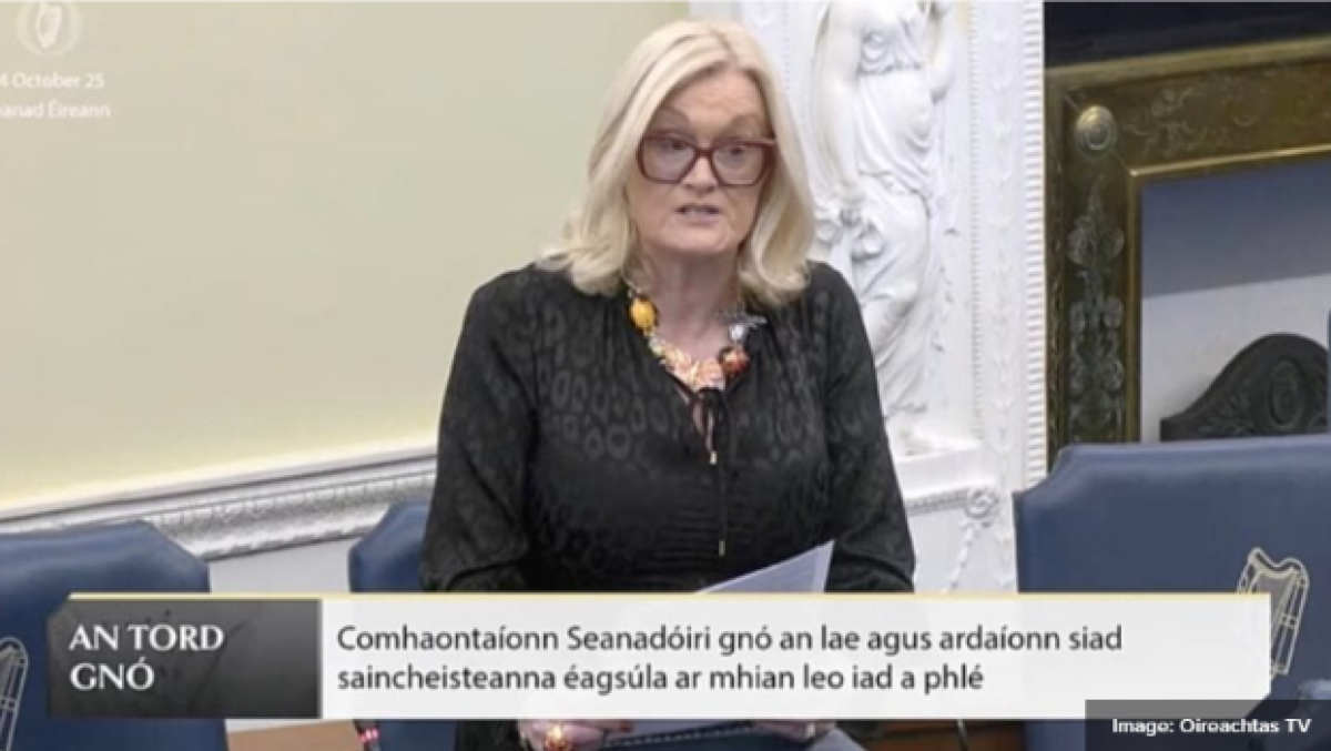 Appello per un'indagine sull'influenza della Confraternita Musulmana - 