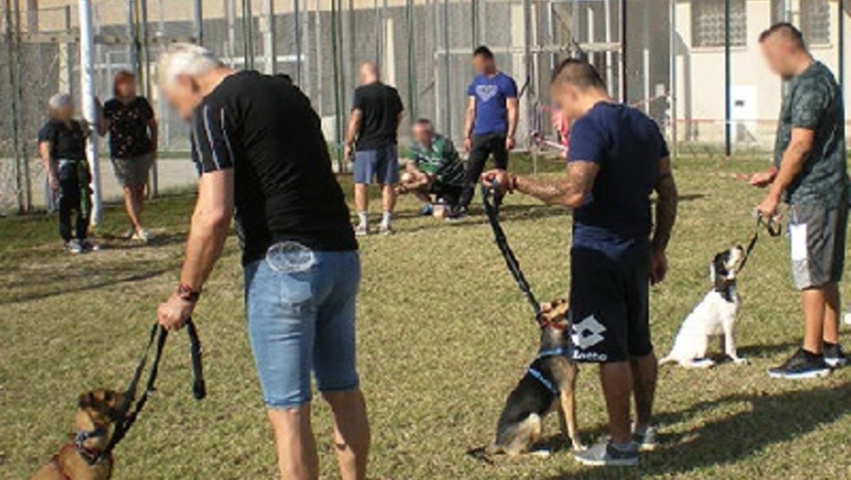 Udine e Tolmezzo, al via la Pet Therapy nelle carceri: cani come strumento per il benessere dei detenuti -