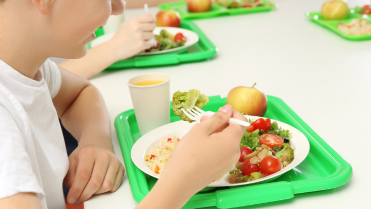 Allarme alla mensa della primaria: insetti nei piatti dei bambini -