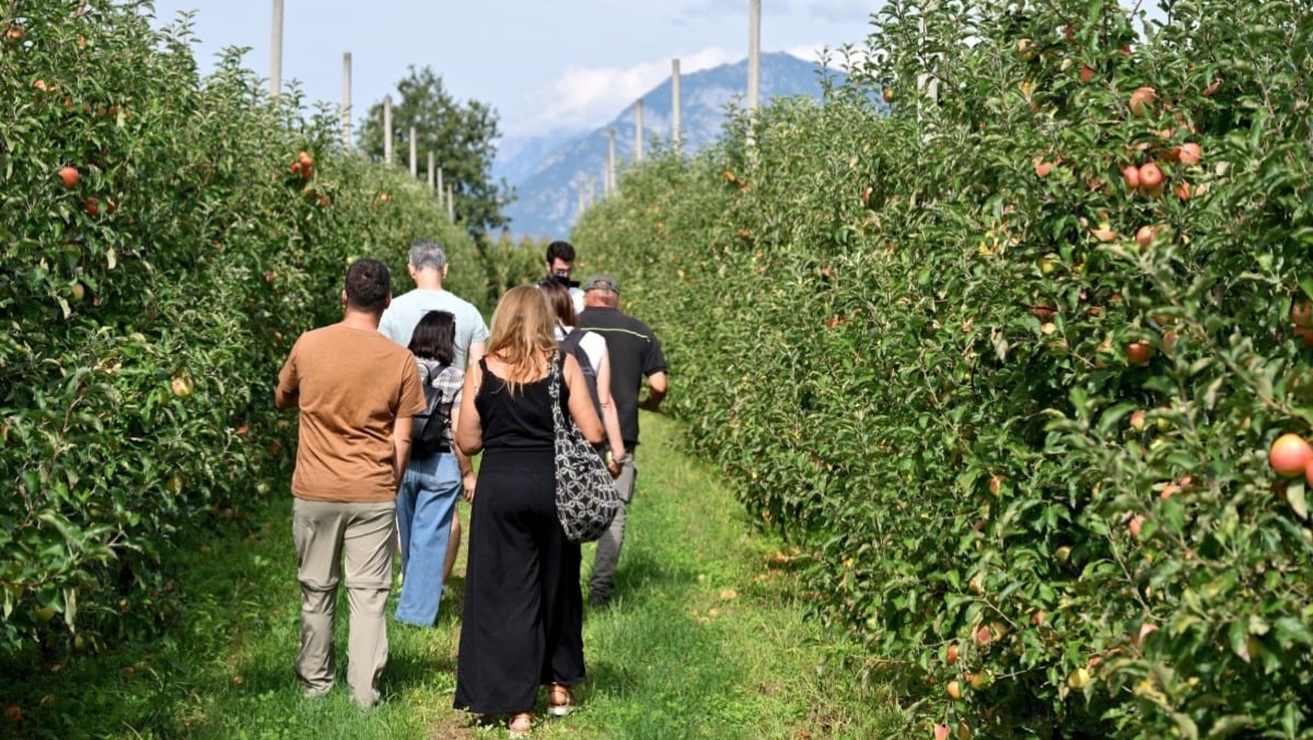 Tour Dica’: un viaggio tra produttori e tradizioni del pordenonese -
