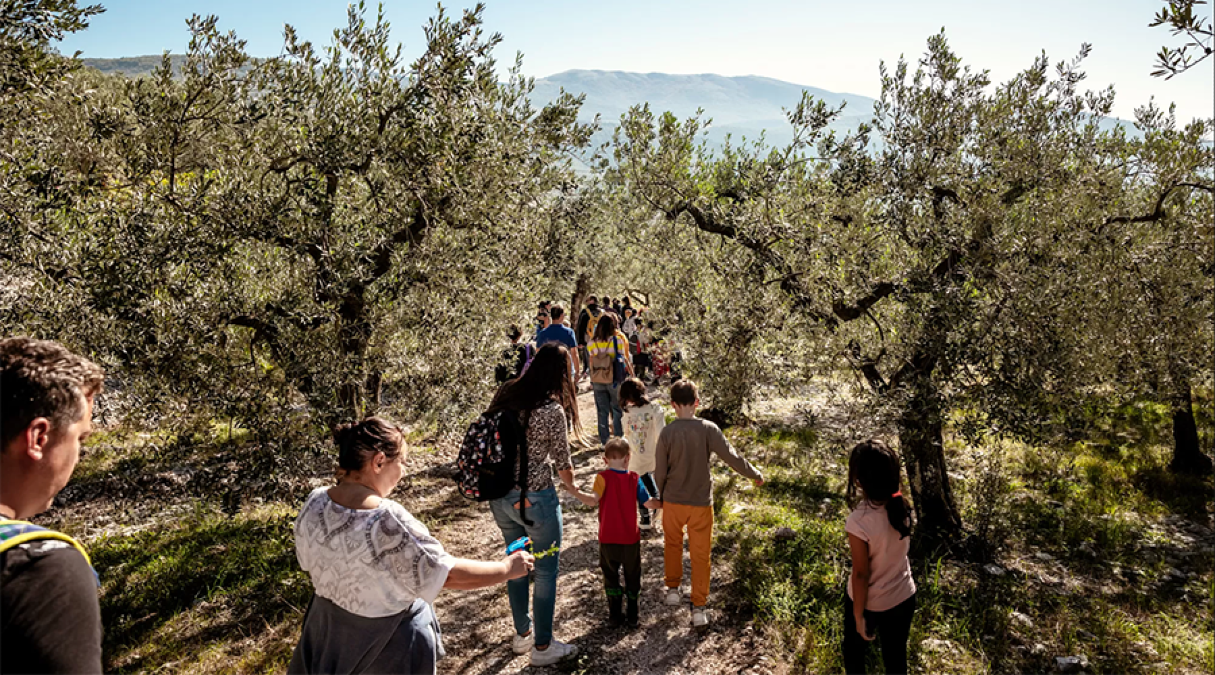 “Coltiviamo la Pace”: in Friuli-Venezia Giulia la Camminata tra gli Olivi unisce l’Italia a Hiroshima -