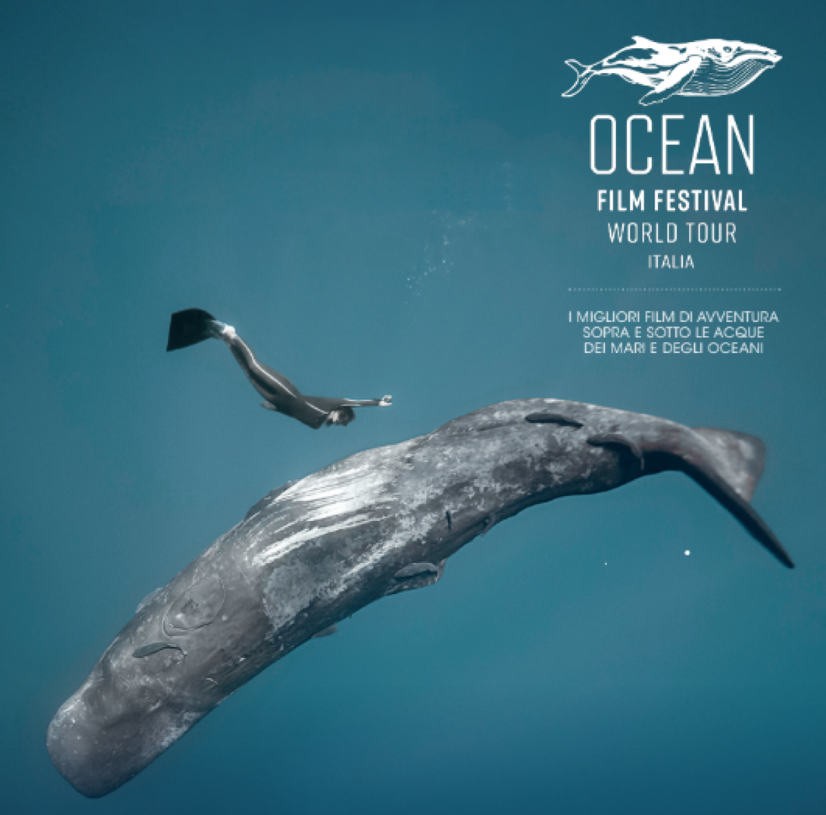 Ocean Film Festival World Tour 2025: le meraviglie del mare sbarcano a Udine -