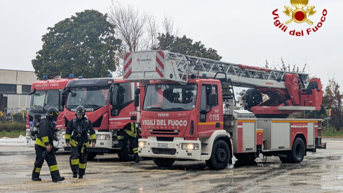 Silos di cereali in fiamme a Pavia di Udine: intervento massiccio dei pompieri - VIDEO - 