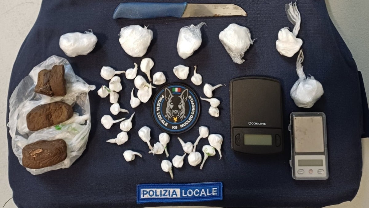 Polizia locale e squadra cinofila in azione tra gli studenti: considerevole sequestro di droga -