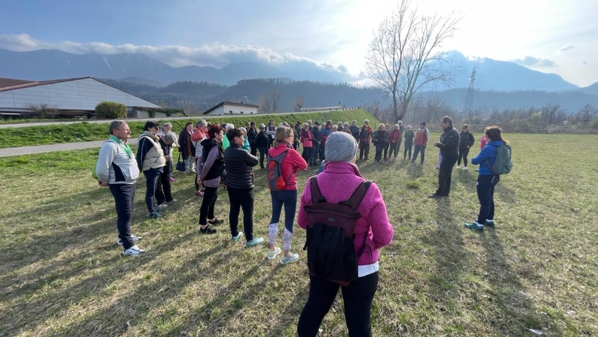 Allenare la memoria da casa: il progetto Silver in Alps migliora la vita degli anziani in Carnia -