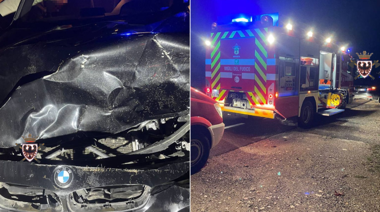 Cervo attraversa la statale, auto lo centra: animale morto sul colpo, vettura distrutta - 