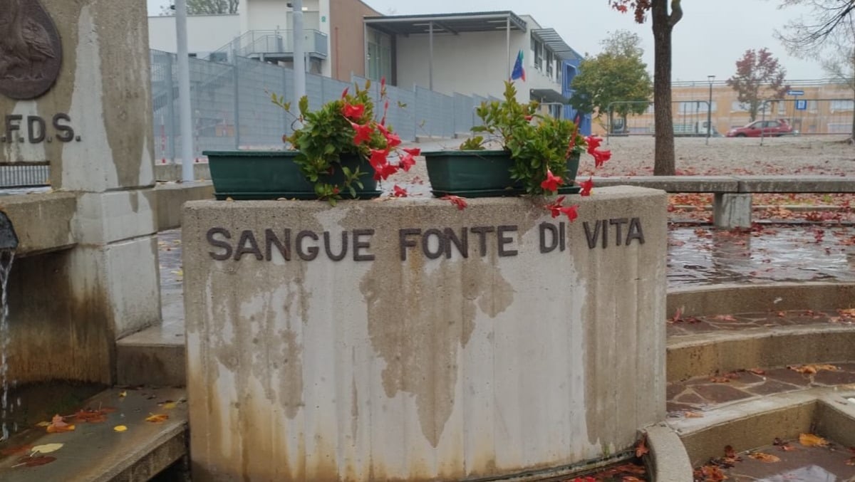 Brugnera, rubati i fiori al monumento dei Donatori di sangue. Il presidente Afds: «gesto vile» -