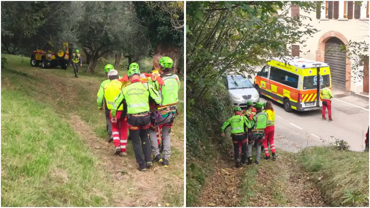 La raccolta delle olive finisce male: scivola e cade a terra, trasportato in ospedale | FOTO - 