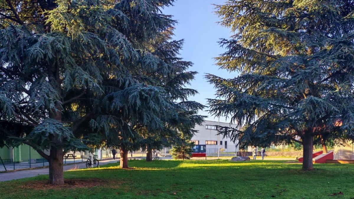 Un milione e mezzo per il futuro di Buttrio tra verde, impianti sportivi e viabilità - 