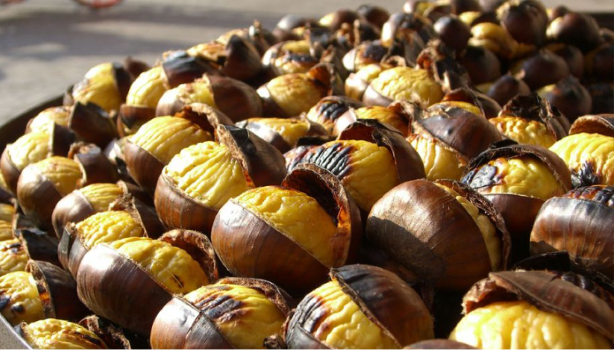 Eventi e sagre in Fvg fine ottobre-novembre 2025: dove andare e cosa fare -