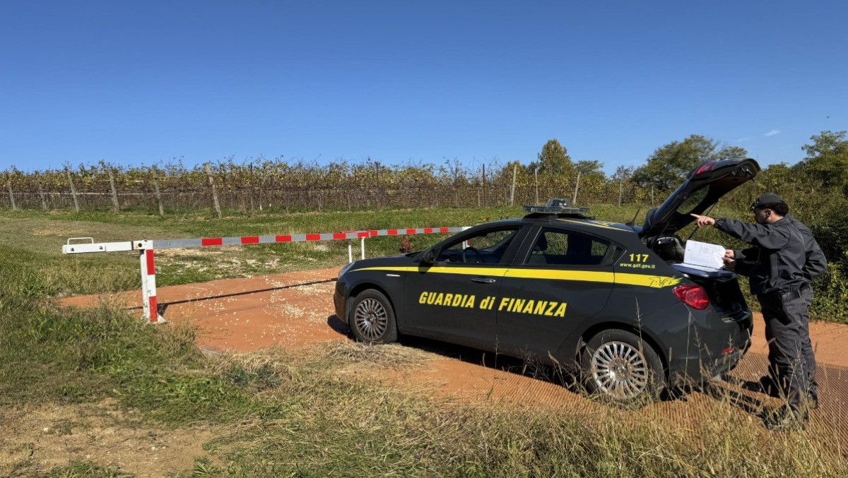 18 lavoratori illeciti per la vendemmia, ipotesi appalto abusivo a Treviso: scattano tre denunce -