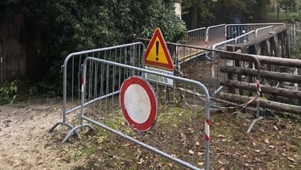 Crolla un albero sul ponte: chiusura dell'accesso al Parco dei Laghetti di Rorai -