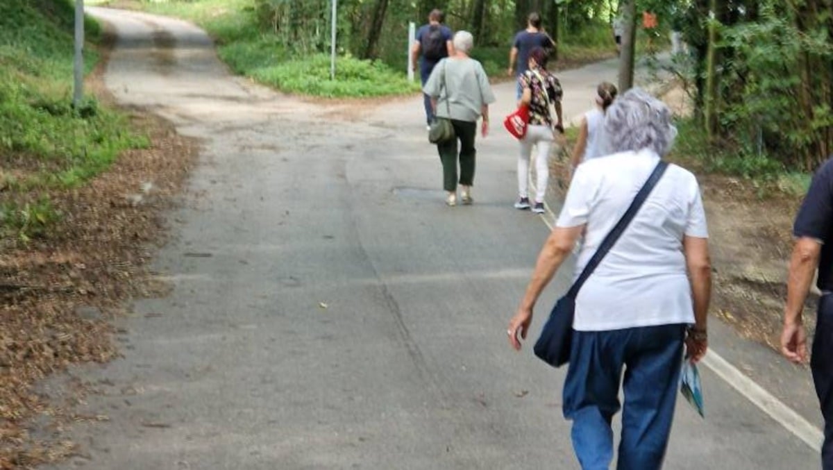 Aviano, sabato 8 novembre la passeggiata “10mila passi di salute” tra storia, arte e natura - 