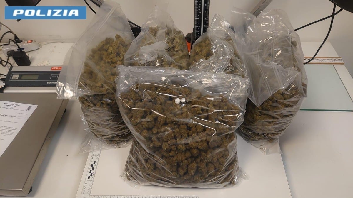 Arriva il corriere espresso, nei pacchi quasi 6kg di marijuana: tre arresti - 