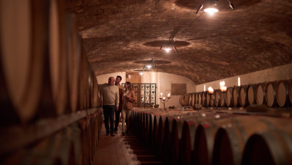 Borgo Conventi celebra San Martino: degustazioni e visite nel cuore del Collio - 