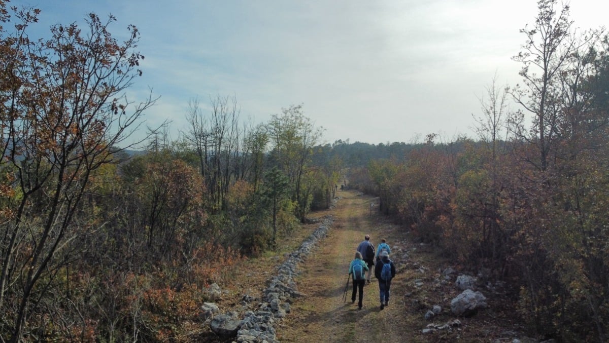 “Parole e musica in cammino”: da San Canzian d’Isonzo ad Aquileia lungo l’Iter Goritiense - 