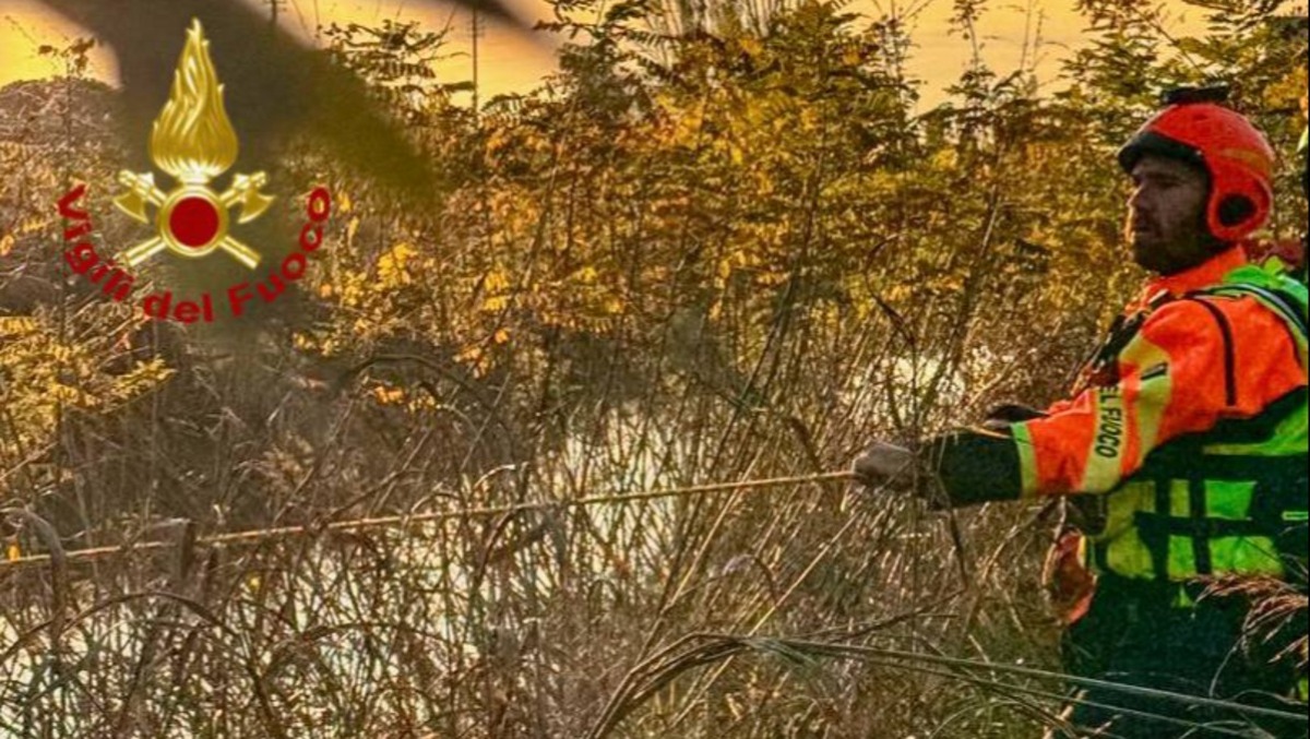 Paura sul Brenta: barca si incaglia nelle chiuse fluviali - 