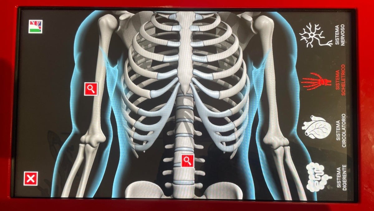 “Sotto la pelle”: la mostra immersiva sul corpo umano all’Immaginario Scientifico di Trieste - 