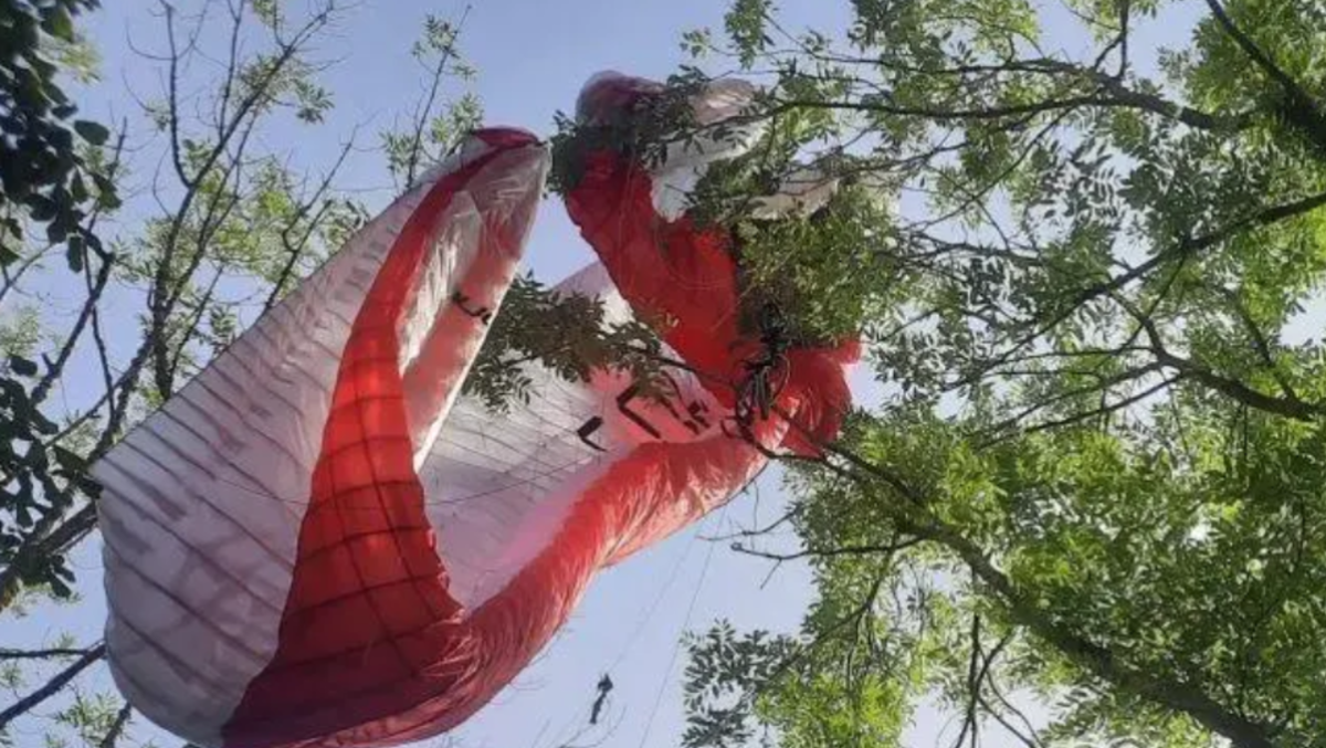 Perde il controllo del parapendio, finisce sospeso a 10 metri da terra: paura per un 62enne - 