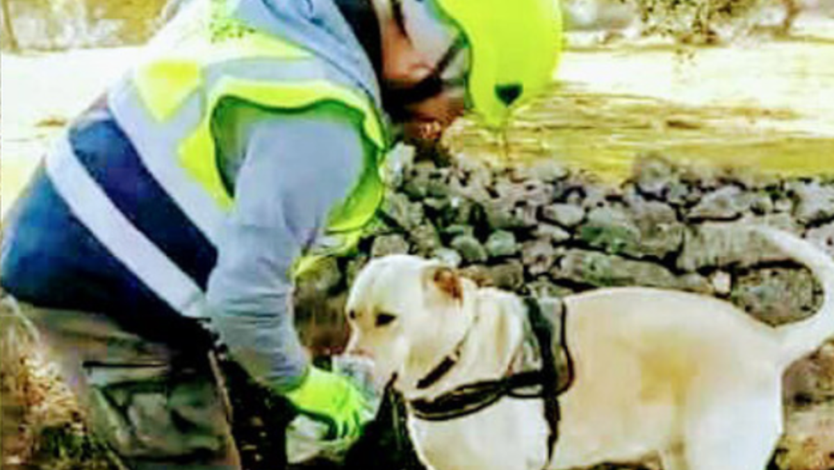 Non si presenta al lavoro da due giorni: scattano le ricerche di un 51enne di Cencenighe - 