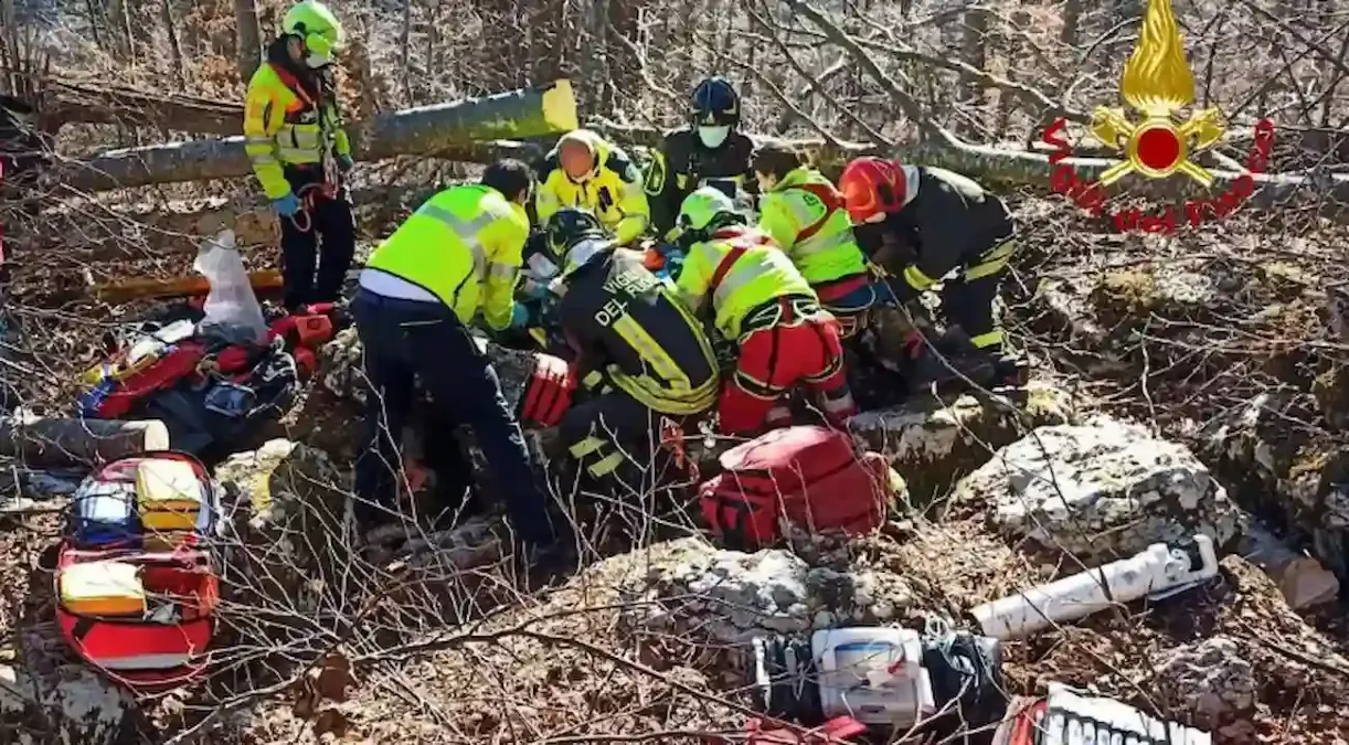 L’albero appena tagliato gli cade addosso: rimane schiacciato sotto gli occhi della moglie - Immagine di repertorio