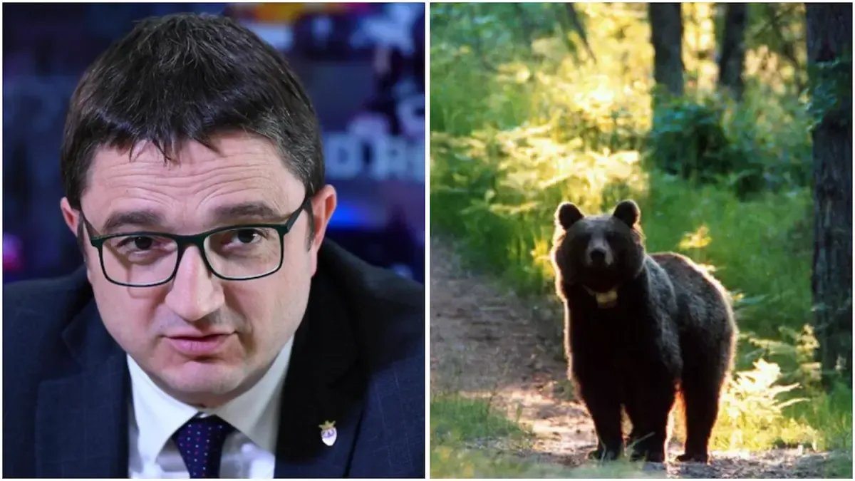 Il Presidente del Trentino indagato, finisce a processo per la morte dell’orso M90: “Ucciso con crudeltà” - 