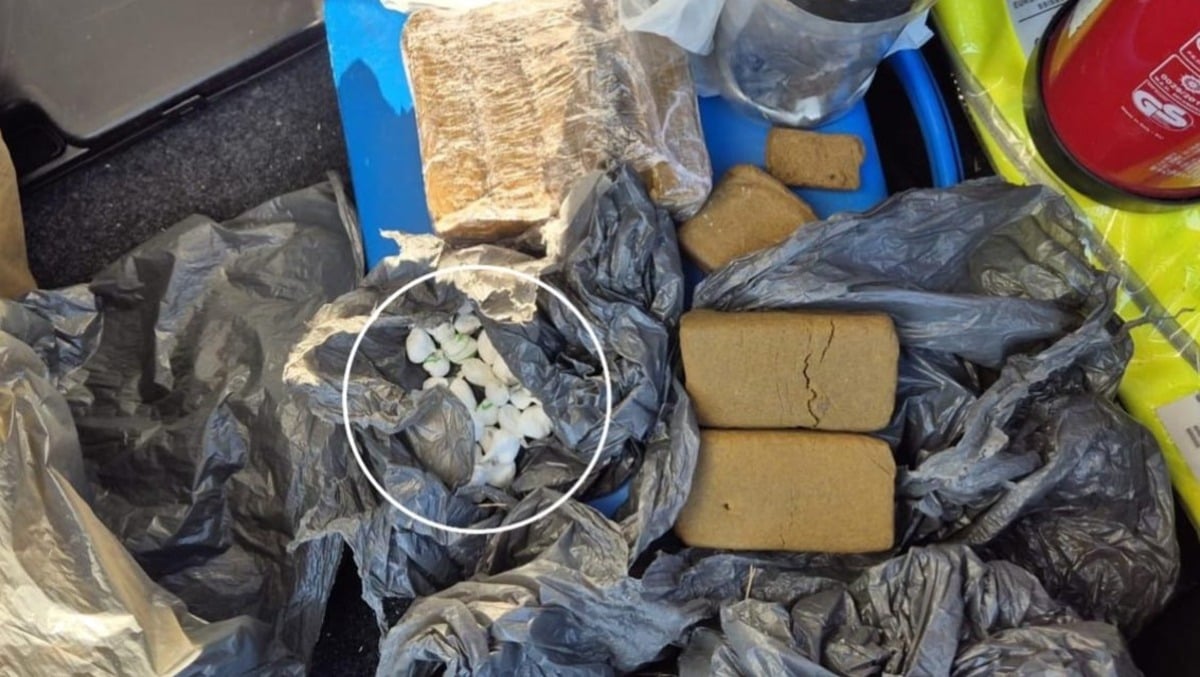 Prelevano un sacco nero da una siepe a Udine, dentro oltre due chili di droga: arrestati due pakistani - 