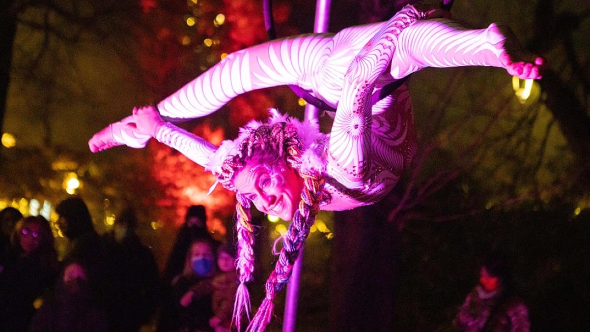 Montegrotto Terme si illumina con il Light Up Christmas alle Terme Preistoriche - 