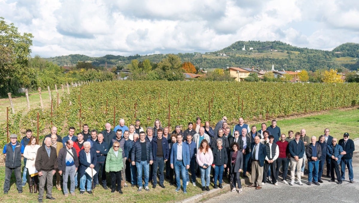 Cantina Produttori Cormòns, anno d’oro: utile in crescita, più soci e remunerazione delle uve al top - 