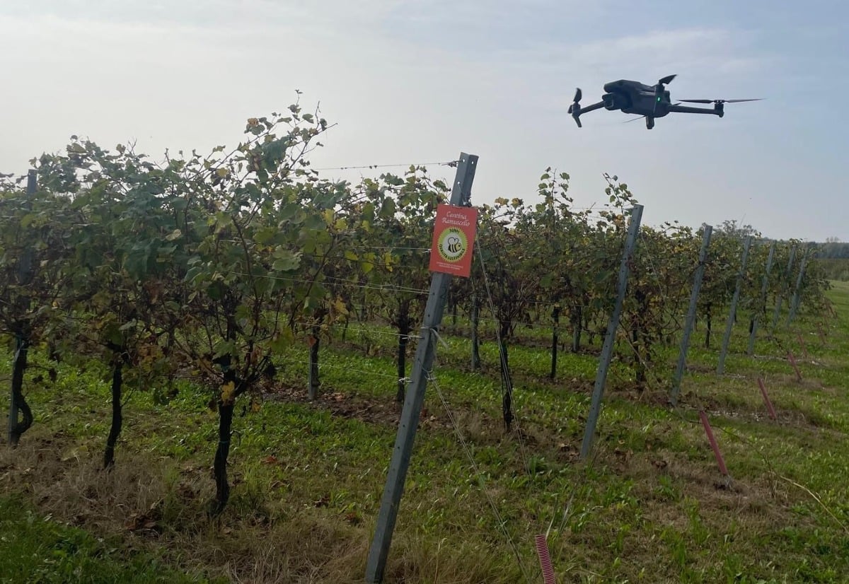 Droni e sensori per la viticoltura del futuro: a Ramuscello l'incontro sulla gestione digitale del vigneto - 