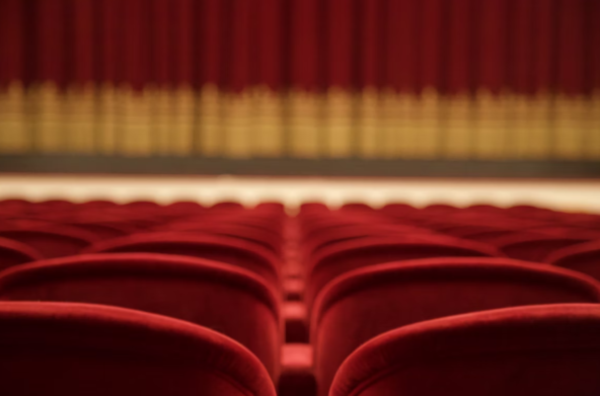 Chi possiede il Teatro Petruzzelli, e Chi Dovrebbe sostenerne le spese? - 