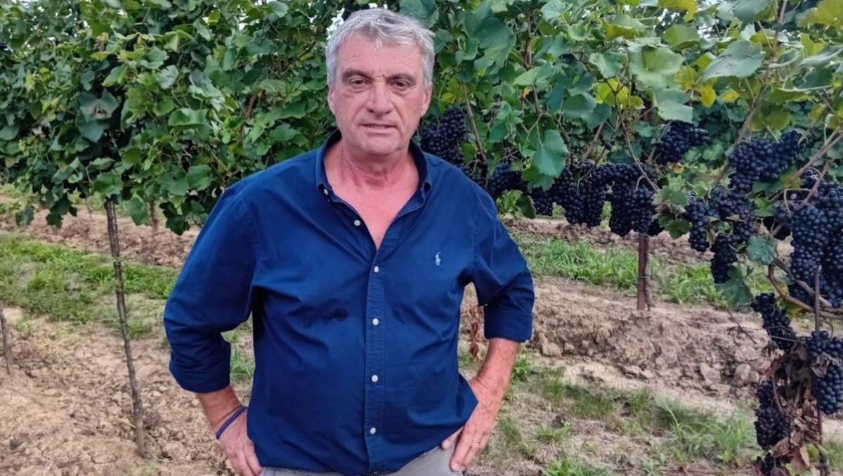 Risarcimenti agricoli anticipati: Condifesa TVB ottiene l’ok delle Compagnie - 