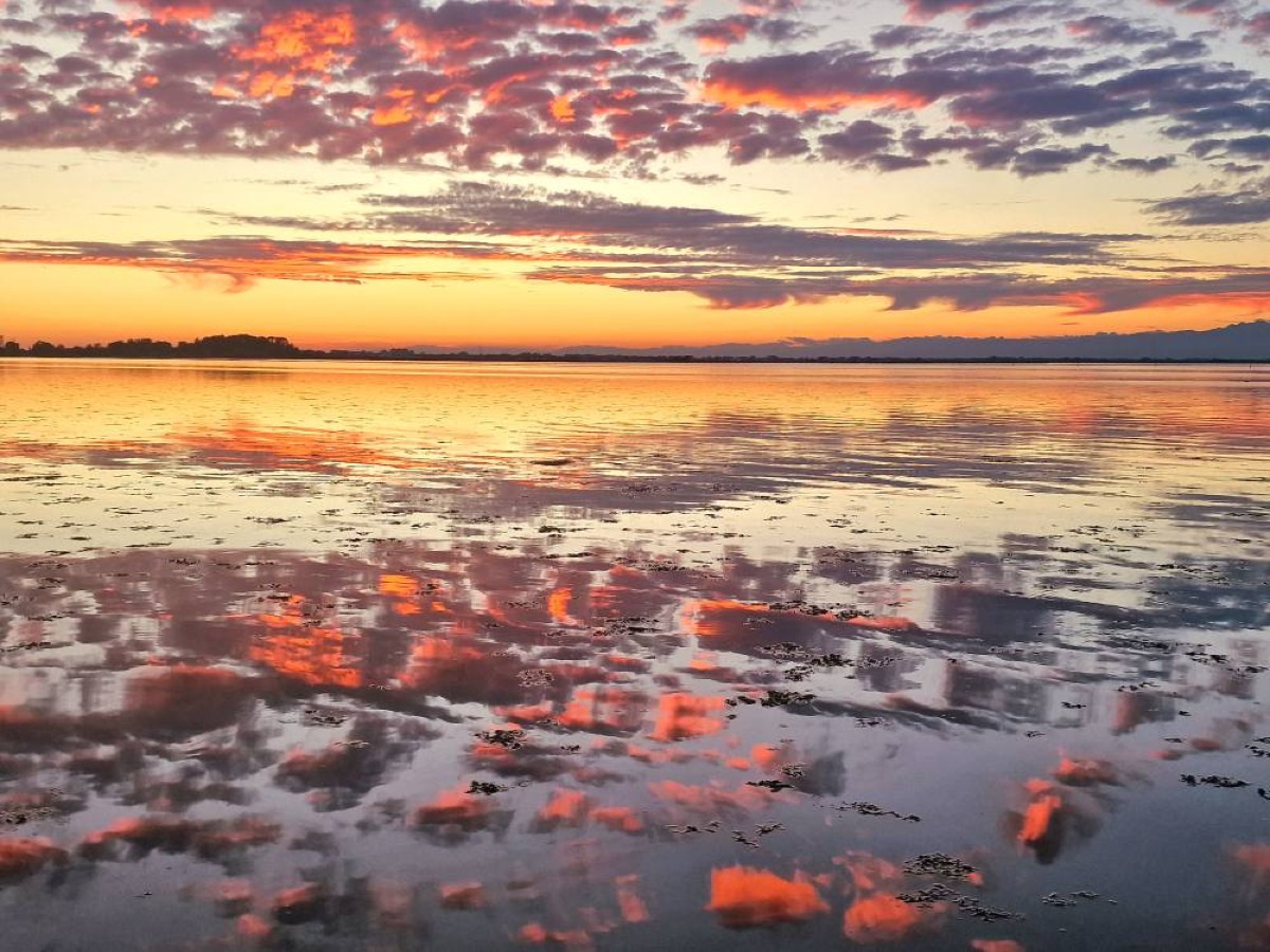 Lignano Sabbiadoro in autunno: guida completa tra mare quieto, pineta e laguna - 